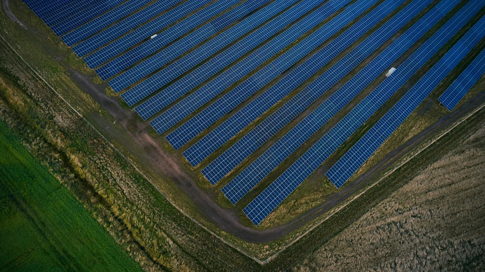 Illustrative image: renewable energy applied to agriculture