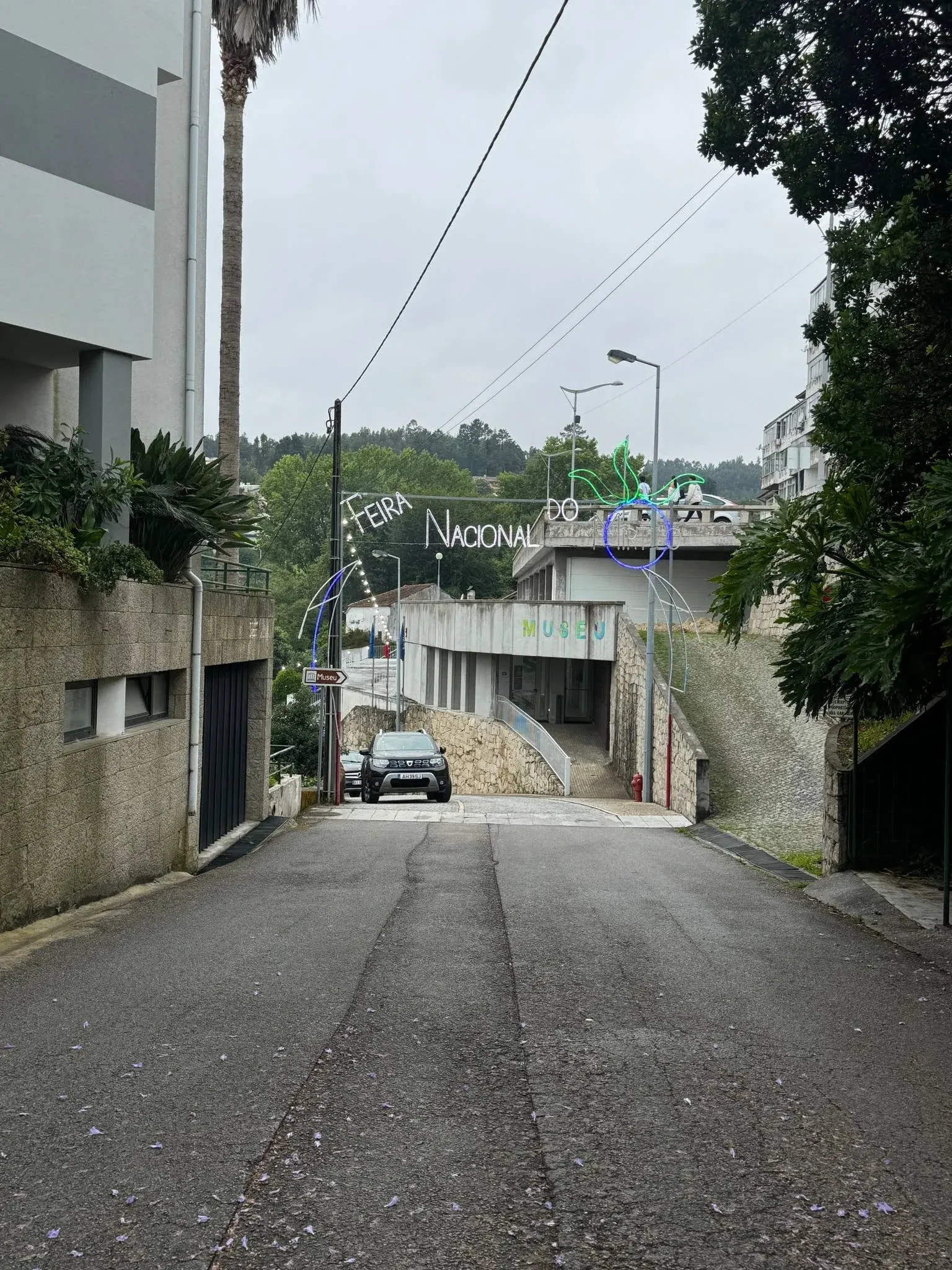 A Enbiente no Feira Nacional do Mirtilo 2024 - foto 2
