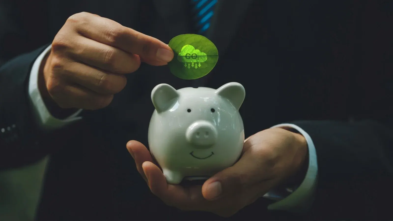 Illustrative image - Voluntary Carbon Credit Market in Portugal: Opportunities and Benefits
